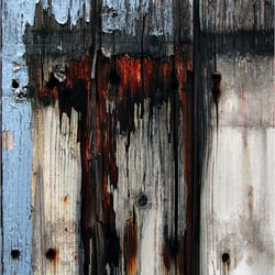 alte Holzwand 4