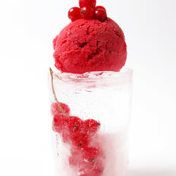 id – Foodfotografie
