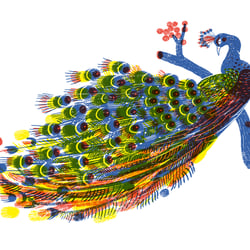 P wie Pfau
