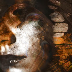 Aus der Reihe „psychodelic butterfly portraits“