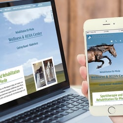 Responsive Webdesign im Auftrag der WOW-GmbH für Pferde Therapie