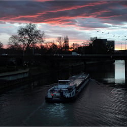 Morgenstunde am Neckar