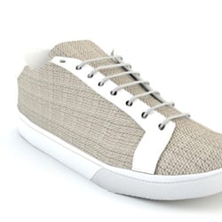 Shoe 01
