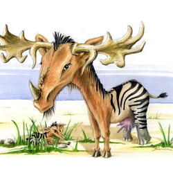 Zebraelch