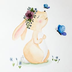 Hase