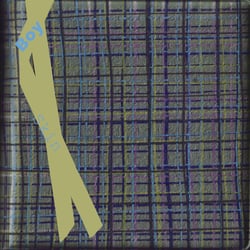 Single „Skin“ [LP-Front]