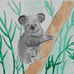 Koala, Aquarell