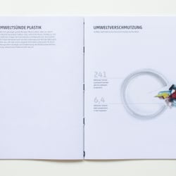 Diplomarbeit „Plastikwahn“