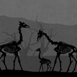 Still from the Video
