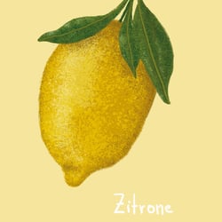 Zitrone, digitale Illustration, 2020