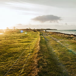 JelenaFilipinskiTravel049