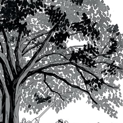 Der Baum denkt_4