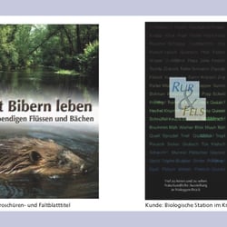 brochure titles