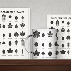 Identification Chart European Tree Leaves