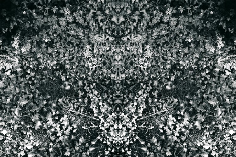 Symétrie