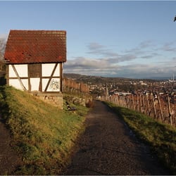 Neckarhaldenweg