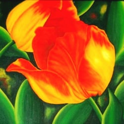 TULPEN !