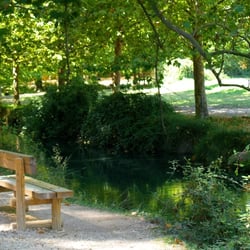 im Park