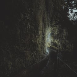 Wander Tourismus Content Creation Madeira