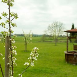 Hochzeitsfotos Mecklenburg Vorpommern