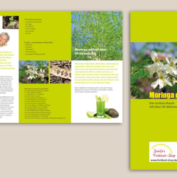 Flyer über Moringa Blattpulver