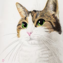 Tierportrait