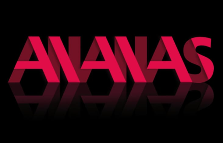 ananas logo