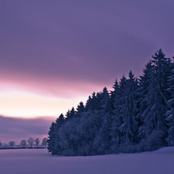 FotoEindrücke