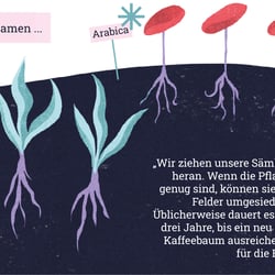 AVENIR – Die Rösterei. Graphic Novel zu fairem Kaffeeanbau und -handel
