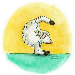 Yogaschaf 2