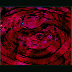 Ohne Titel