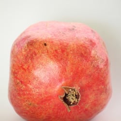 Granatapfel November 2012