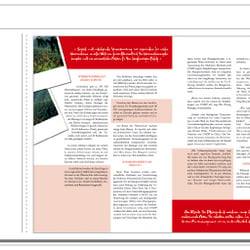 Editorialdesign