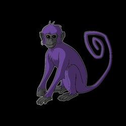 violet monkey