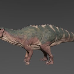 Shantungosaurus | Texturen