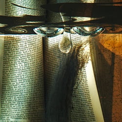 book spy