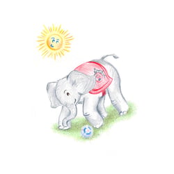 Fußballfant