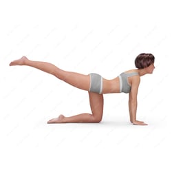Bauch, Beine, Po: BOP-Training für Frauen – Übung-Position