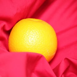 Food Photography 2012