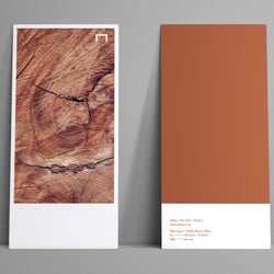 Schreinerei Lienin – Print Design