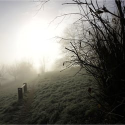 Morgennebel