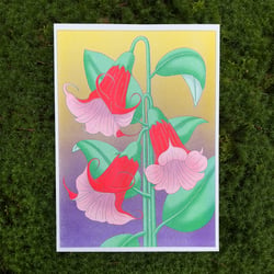 Brugmansia, Risographie Druck