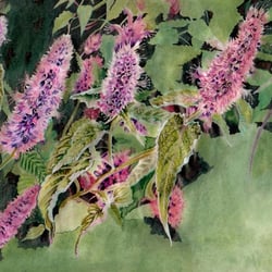 Background Art for Animation – water color and Copics