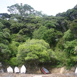 Bay of Islands, Neuseeland