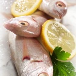 Frischfisch