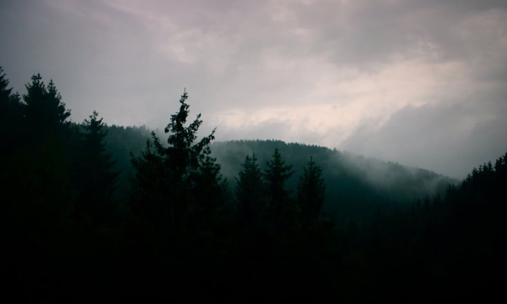 Harz