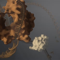 Rifampicin und DNA Poymerase, Cinema 4D