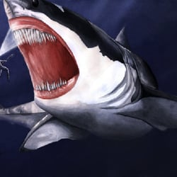 Hai