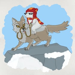 Schaf auf Wolfspelz