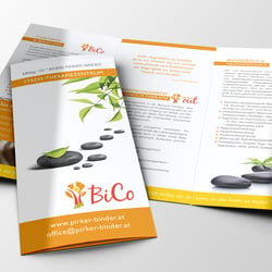 institut BiCo. info-folder.